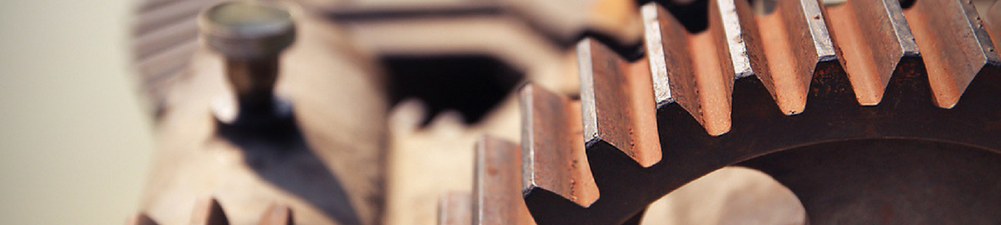 banner05